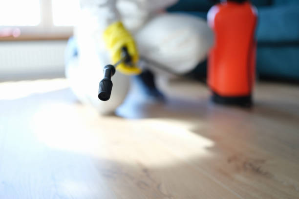 Best Attic Mold Removal  in Genola, UT