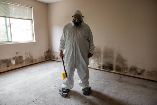 Best Air Quality Testing for Mold Spores  in Genola, UT